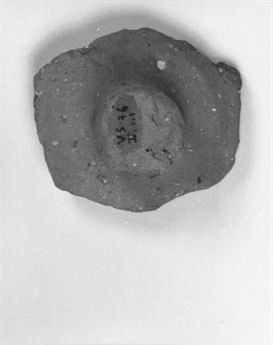 coperchio